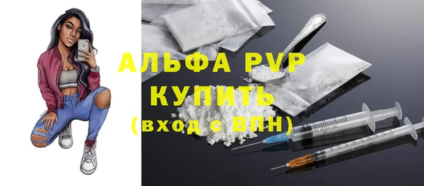 apvp Алексин