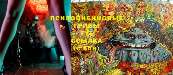 apvp Алексин